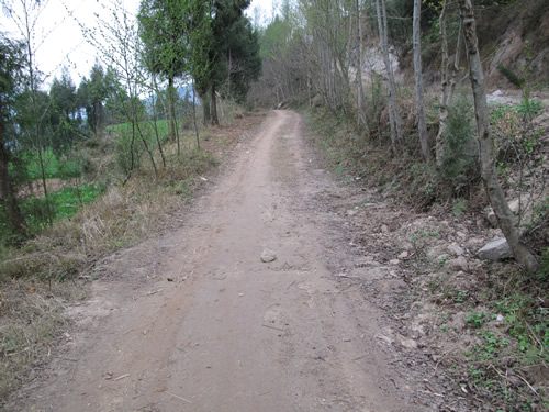 景老师一家修建的这条通往学校的500米山路